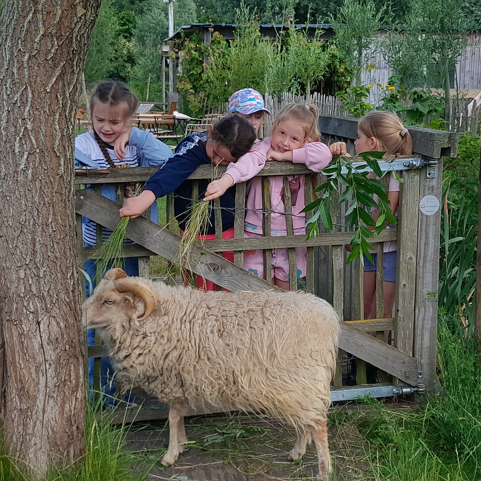 Sfeerbeeld Mekkerland